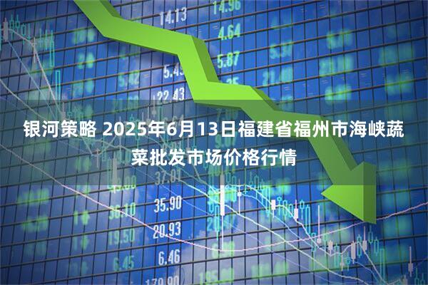 银河策略 2025年6月13日福建省福州市海峡蔬菜批发市场价格行情