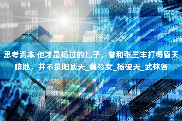 思考资本 他才是杨过的儿子，曾和张三丰打得昏天暗地，并不是阳顶天_黄衫女_杨破天_武林各