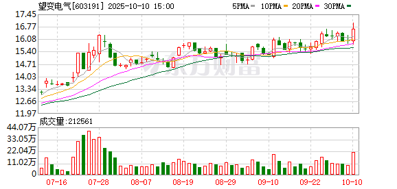 仁信优配 望变电气：2024年净利润6516.65万元 拟10派0.5元
