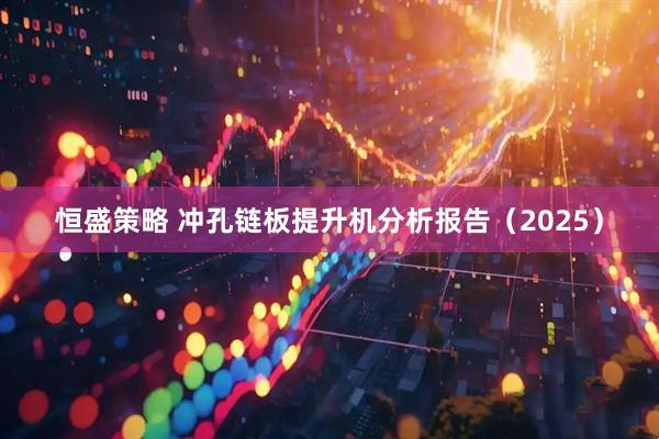 恒盛策略 冲孔链板提升机分析报告（2025）